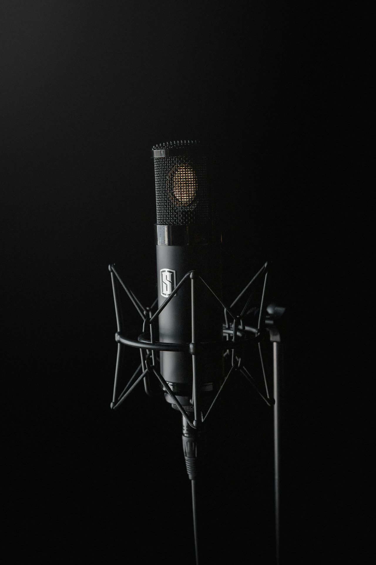 black condenser microphone on black background